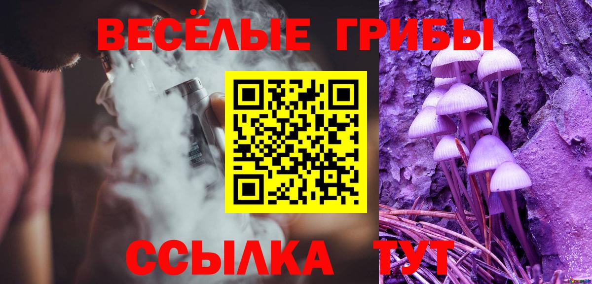 Алейск  Галлюциногенные грибы прущие грибы  Вход с VPN 